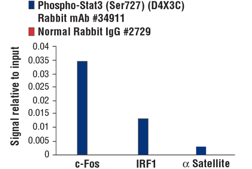 Chromatin Immunoprecipitation Image 1: Phospho-Stat3 (Ser727) (D4X3C) Rabbit mAb