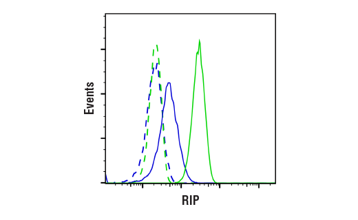 Flow Cytometry Image 1: RIP (D94C12) XP® Rabbit mAb