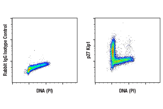 Flow Cytometry Image 1: p27 Kip1 (D69C12) XP® Rabbit mAb (BSA and Azide Free)