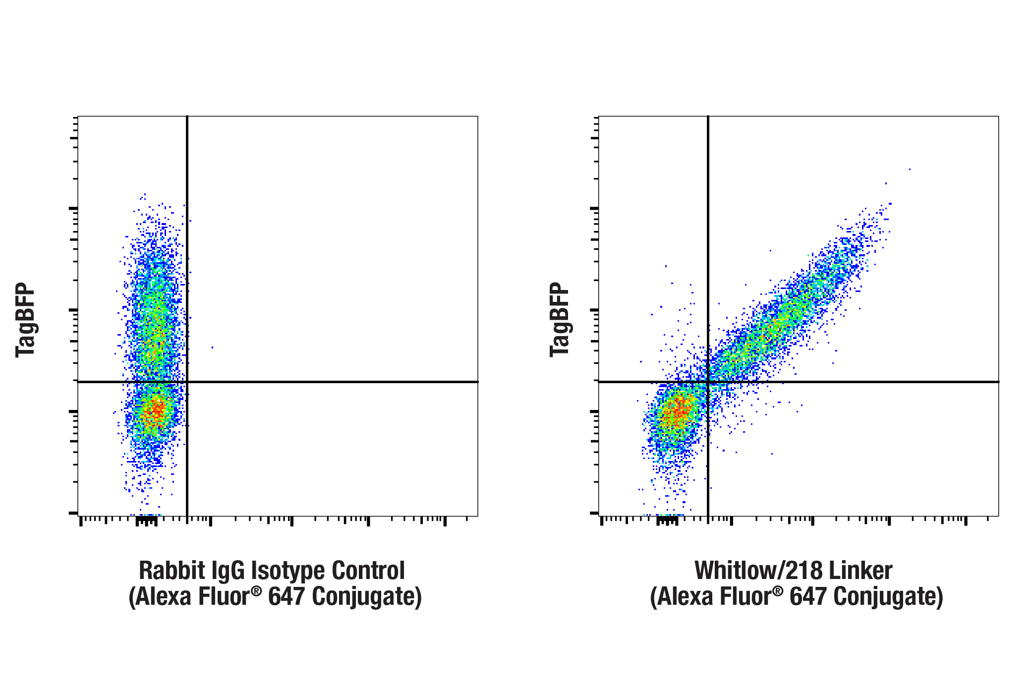 Flow Cytometry Image 3: CAR-T Cell (Whitlow/218 Linker) Transduction Efficiency Flow Cytometry Panel