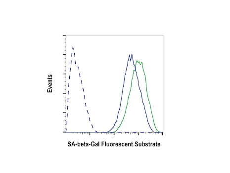 Flow Cytometry Image 1: Senescence β-Galactosidase Activity Assay Kit (Fluorescence, Flow Cytometry)
