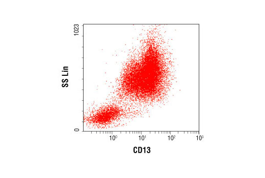 Flow Cytometry Image 1: CD13 (B-F10) Mouse mAb