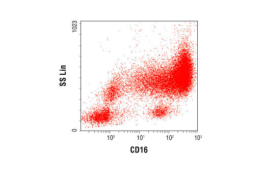 Flow Cytometry Image 1: CD16 (FcgammaIII) (CB-16) Mouse mAb