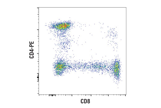Flow Cytometry Image 1: CD8 (RIV11) Mouse mAb