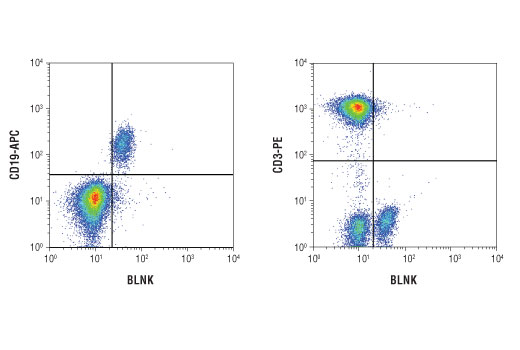 Flow Cytometry Image 1: BLNK (D3P2H) XP® Rabbit mAb