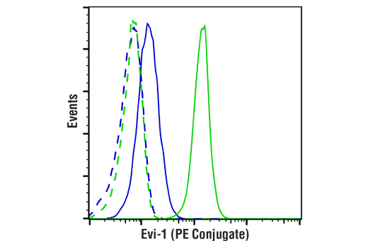 Flow Cytometry Image 1: Evi-1 (C50E12) Rabbit mAb (PE Conjugate)