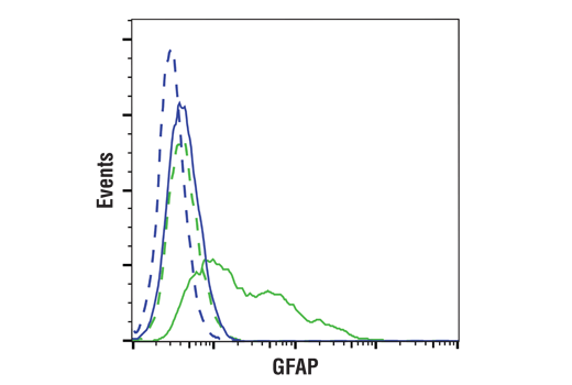 Flow Cytometry Image 1: GFAP (GA5) Mouse mAb