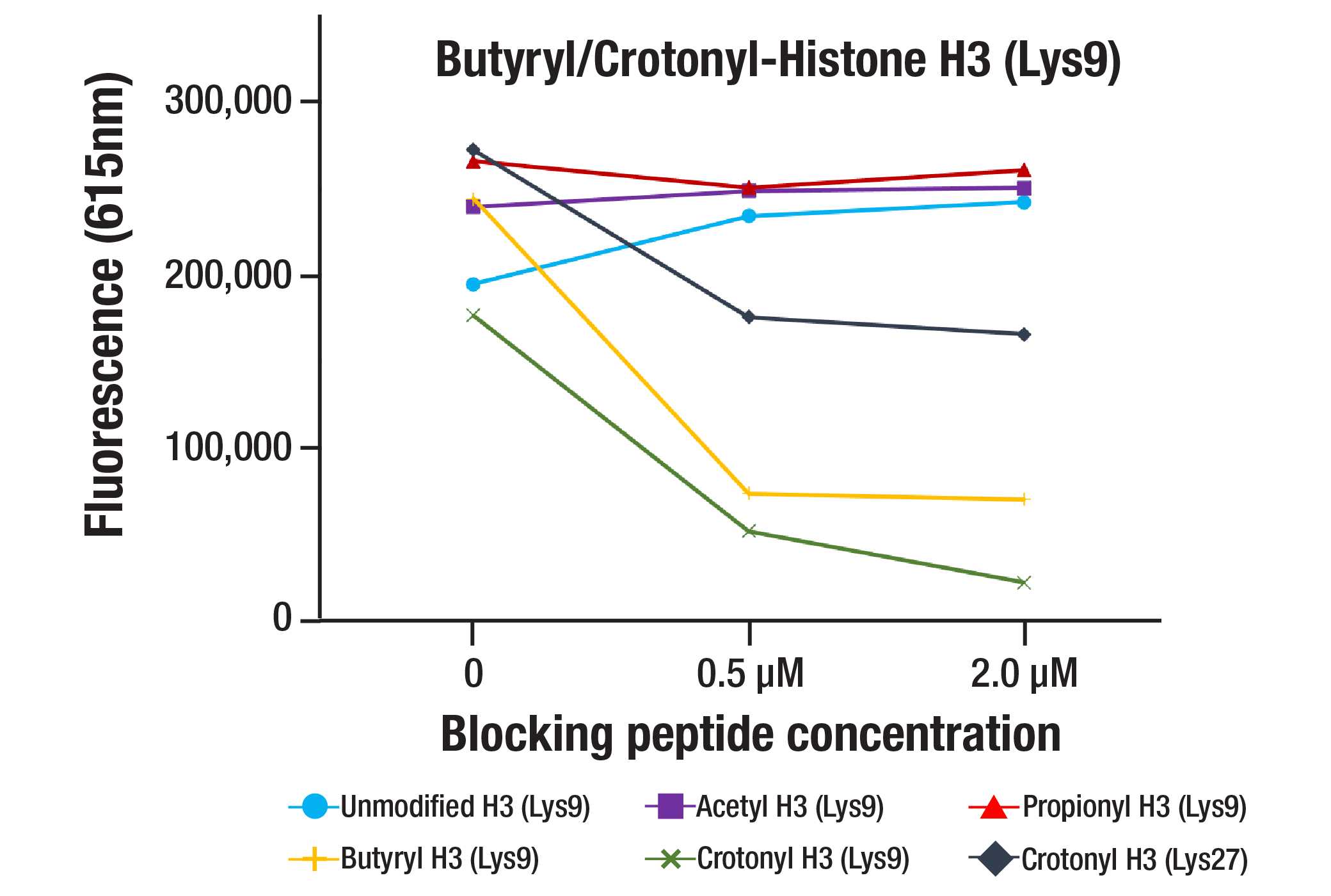  Image 1: Butyryl/Crotonyl-Histone H3 (Lys9) (E9N8C) Rabbit mAb