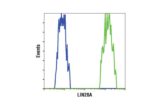 Flow Cytometry Image 1: LIN28A (D84C11) XP® Rabbit mAb