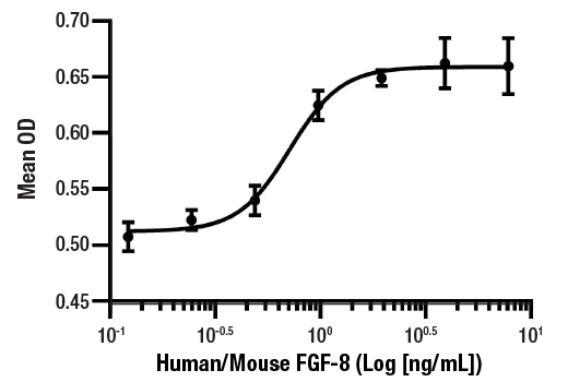  Image 1: Human/Mouse FGF-8 Recombinant Protein