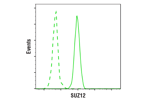 Flow Cytometry Image 1: SUZ12 (D39F6) XP® Rabbit mAb
