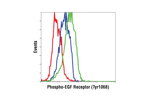 Flow Cytometry Image 1: Phospho-EGF Receptor (Tyr1068) (D7A5) XP® Rabbit mAb