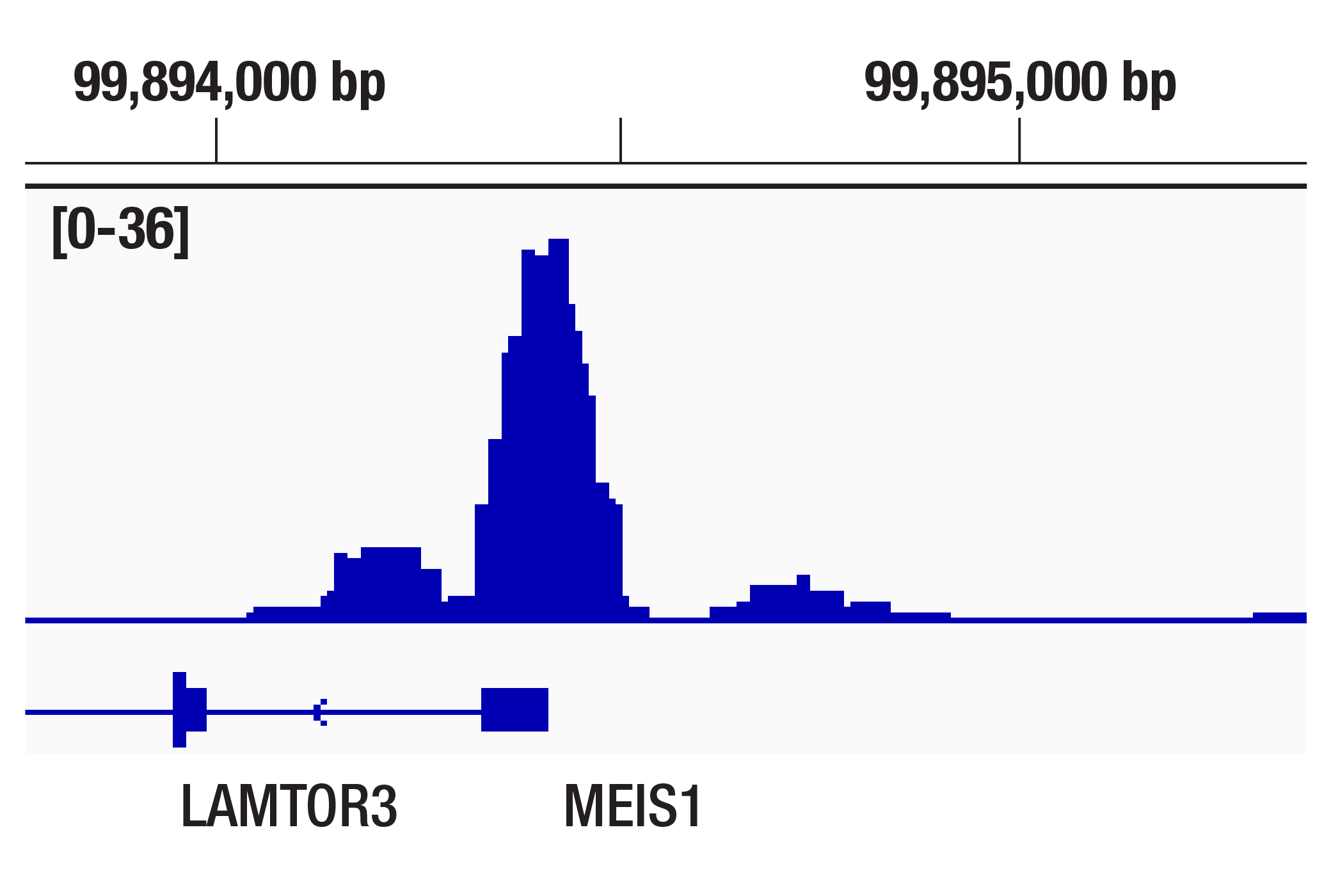 undefined Image 4: TFEB Signaling Antibody Sampler Kit