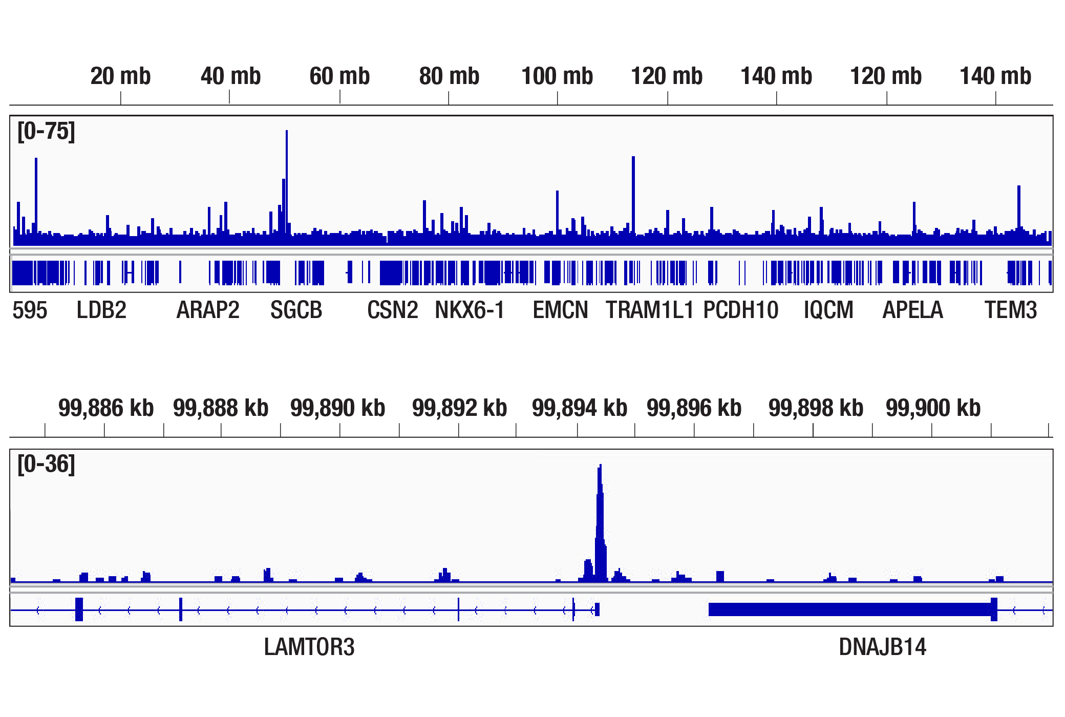 undefined Image 9: TFEB Signaling Antibody Sampler Kit