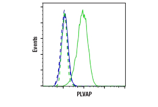 Flow Cytometry Image 1: PLVAP (E3X9D) Rabbit mAb