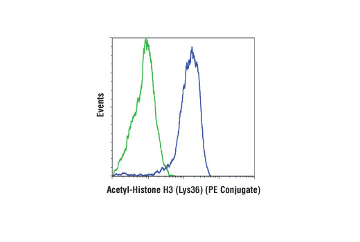 Flow Cytometry Image 1: Acetyl-Histone H3 (Lys36) (D9T5Q) Rabbit mAb (PE Conjugate)