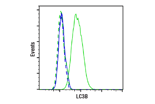 Flow Cytometry Image 1: LC3B (D11) XP® Rabbit mAb
