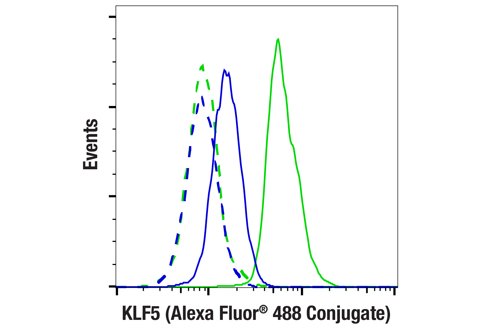 Flow Cytometry Image 1: KLF5 (E5K6H) Rabbit mAb (Alexa Fluor® 488 Conjugate)