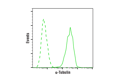 Flow Cytometry Image 1: α-Tubulin (DM1A) Mouse mAb