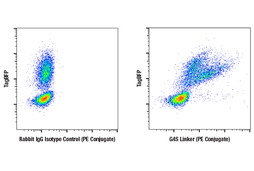 Flow Cytometry Image 2: G4S Linker (E7O2V) Rabbit mAb (PE Conjugate)