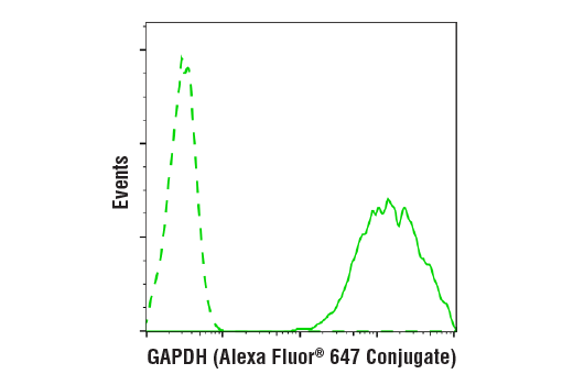 Flow Cytometry Image 1: GAPDH (14C10) Rabbit mAb (Alexa Fluor® 647 Conjugate)