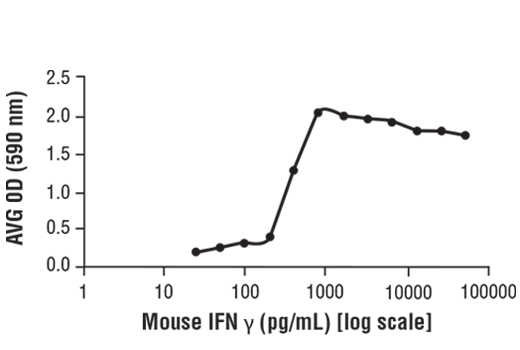  Image 2: Mouse Interferon-γ (mIFN-γ) Recombinant Protein