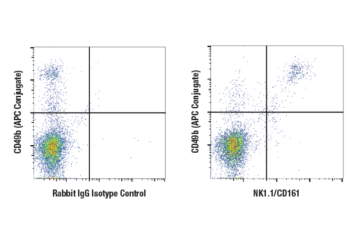 Flow Cytometry Image 1: NK1.1/CD161 (E6Y9G) Rabbit mAb
