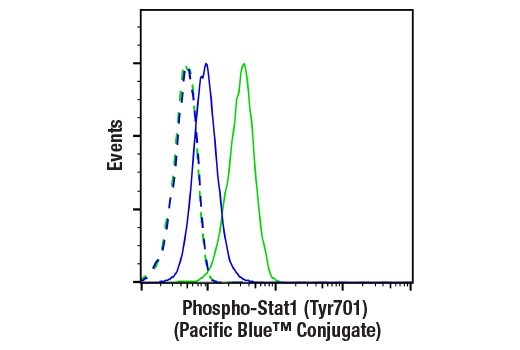 Flow Cytometry Image 1: Phospho-Stat1 (Tyr701) (58D6) Rabbit mAb (Pacific Blue™ Conjugate)