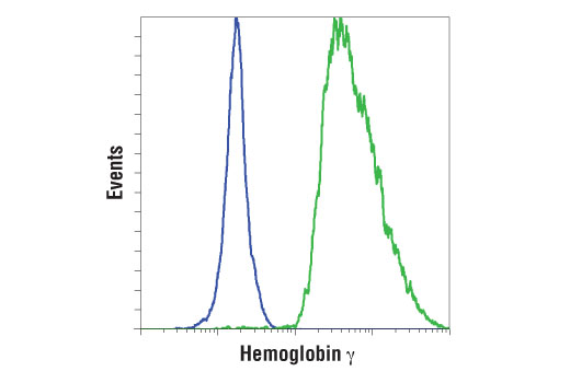 Flow Cytometry Image 1: Hemoglobin γ (D4K7X) Rabbit mAb