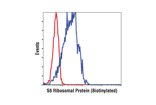 Flow Cytometry Image 1: S6 Ribosomal Protein (54D2) Mouse mAb (Biotinylated)