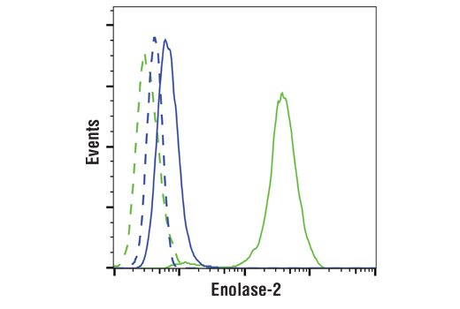 Flow Cytometry Image 1: Enolase-2 (E7D7I) Rabbit mAb (BSA and Azide Free)