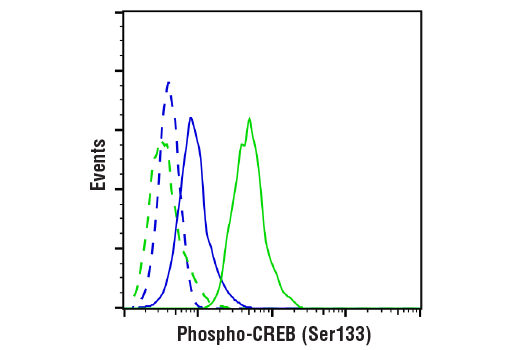 Flow Cytometry Image 1: Phospho-CREB (Ser133) (87G3) Rabbit mAb (BSA and Azide Free)