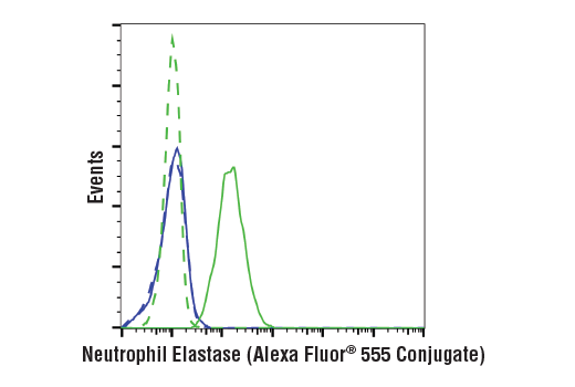 Flow Cytometry Image 1: Neutrophil Elastase (E9C9L) XP® Rabbit mAb (Alexa Fluor® 555 Conjugate)