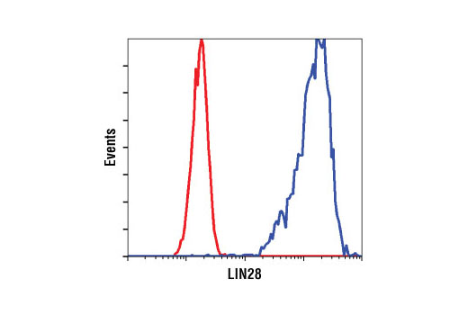 Flow Cytometry Image 1: LIN28A (A177) Antibody