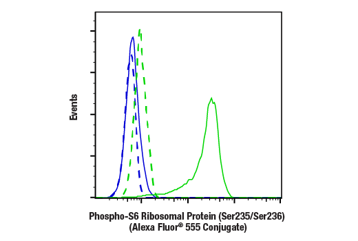 Flow Cytometry Image 1: Phospho-S6 Ribosomal Protein (Ser235/236) (D57.2.2E) XP® Rabbit mAb (Alexa Fluor® 555 Conjugate)