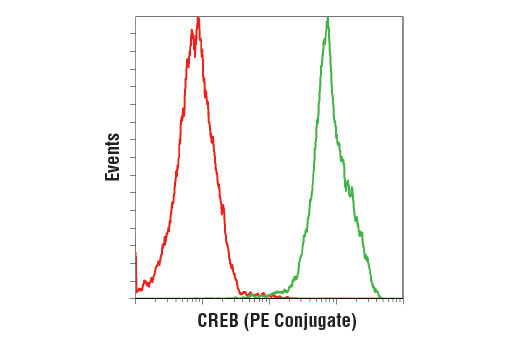 Flow Cytometry Image 1: CREB (48H2) Rabbit mAb (PE Conjugate)