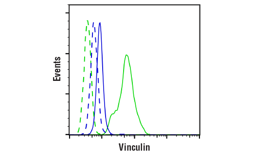 Flow Cytometry Image 1: Vinculin (E1E9V) XP® Rabbit mAb (BSA and Azide Free)