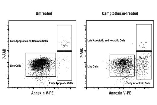 Flow Cytometry Image 1: Annexin V-PE Early Apoptosis Detection Kit