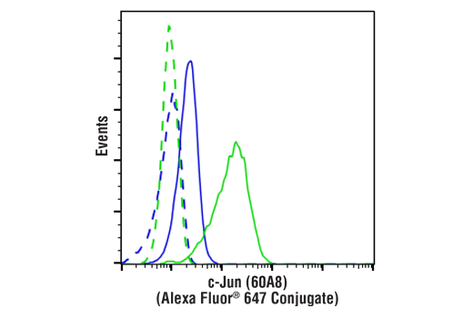 Flow Cytometry Image 1: c-Jun (60A8) Rabbit mAb (Alexa Fluor® 647 Conjugate)