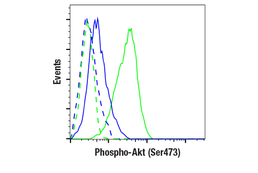 Flow Cytometry Image 1: Phospho-Akt (Ser473) (193H12) Rabbit mAb