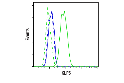 Flow Cytometry Image 1: KLF5 (E5K6H) Rabbit mAb