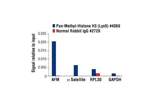 Chromatin Immunoprecipitation Image 1: Pan-Methyl-Histone H3 (Lys9) Antibody