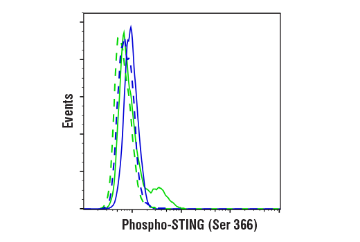 Flow Cytometry Image 1: Phospho-STING (Ser366) (D8K6H) Rabbit mAb (BSA and Azide Free)