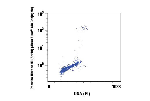 Flow Cytometry Image 1: Propidium Iodide (PI)/RNase Staining Solution