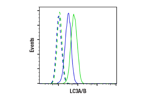 Flow Cytometry Image 1: LC3A/B Antibody