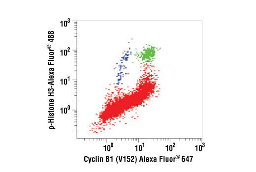 Flow Cytometry Image 1: Cyclin B1 (V152) Mouse mAb (Alexa Fluor® 647 Conjugate)