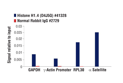 Chromatin Immunoprecipitation Image 1: Histone H1.4 (D4J5Q) Rabbit mAb