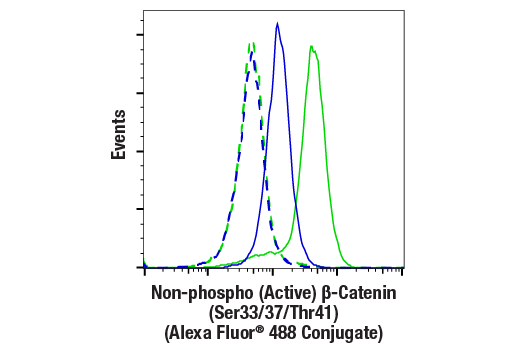 Flow Cytometry Image 1: Non-phospho (Active) β-Catenin (Ser33/37/Thr41) (D13A1) Rabbit mAb (Alexa Fluor® 488 Conjugate)