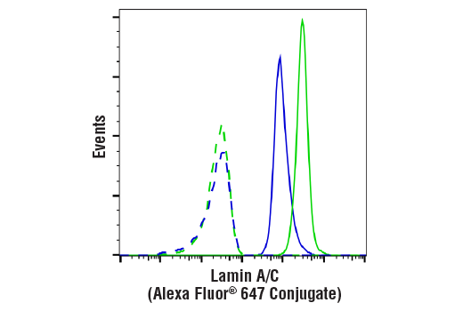Flow Cytometry Image 1: Lamin A/C (4C11) Mouse mAb (Alexa Fluor® 647 Conjugate)