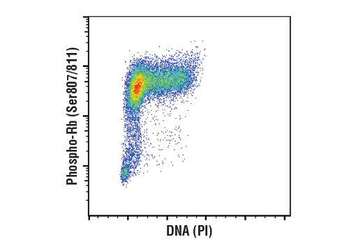 Flow Cytometry Image 1: Phospho-Rb (Ser807/811) (D20B12) XP® Rabbit mAb (BSA and Azide Free)